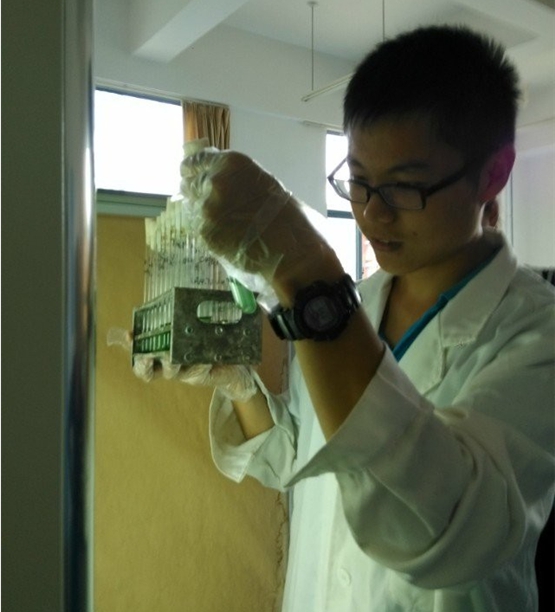 H动漫
