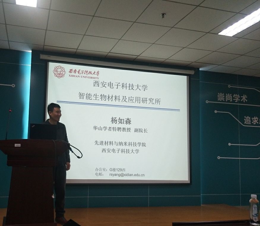 H动漫
