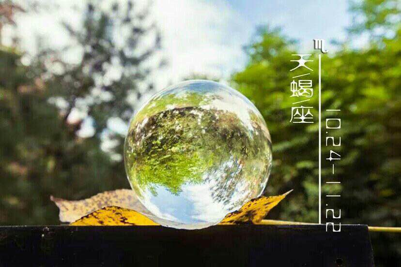 H动漫