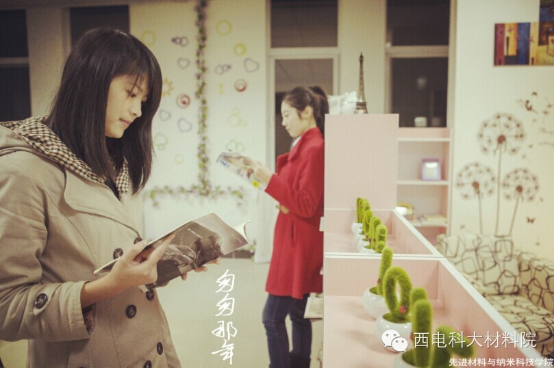 H动漫