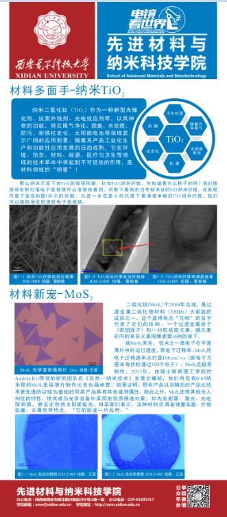 H动漫
