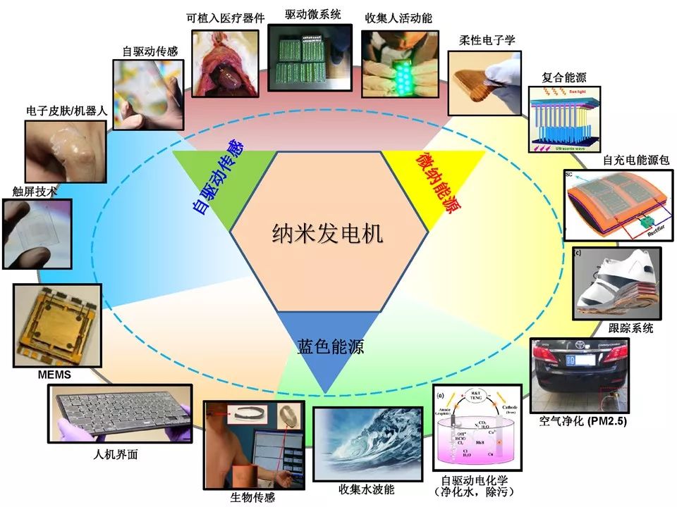 H动漫