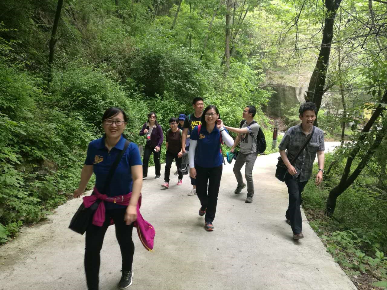 H动漫