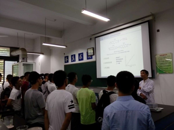 H动漫